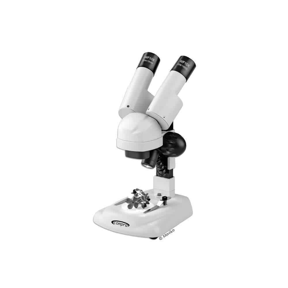 LED-Stereo-Mikroskop für Einsteiger