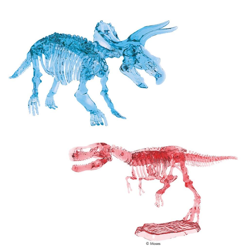 Leucht-Skelett Dinosaurier zum Ausgraben