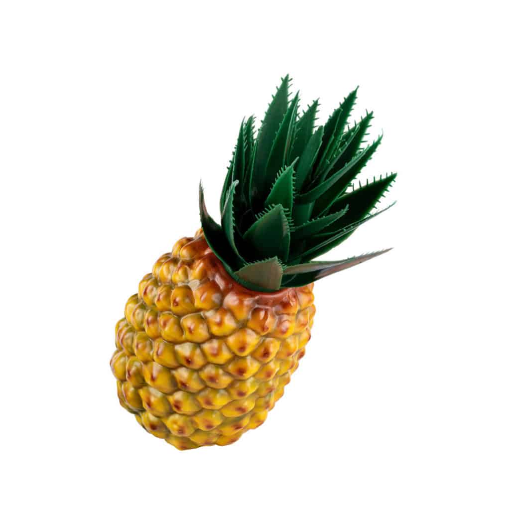NINO-Percussion-Obst-Shaker-fuer-Kinder-Fruchtshaker-Ananas-01