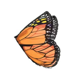 Schmetterlings-Flügel Monarchfalter Orange