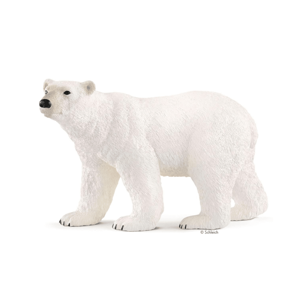 Schleich Eisbär