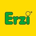 erzi_logo