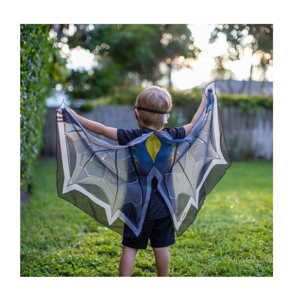 Dreamy-Dress-Ups Kostüm-Flügel mit Maske Fledermaus